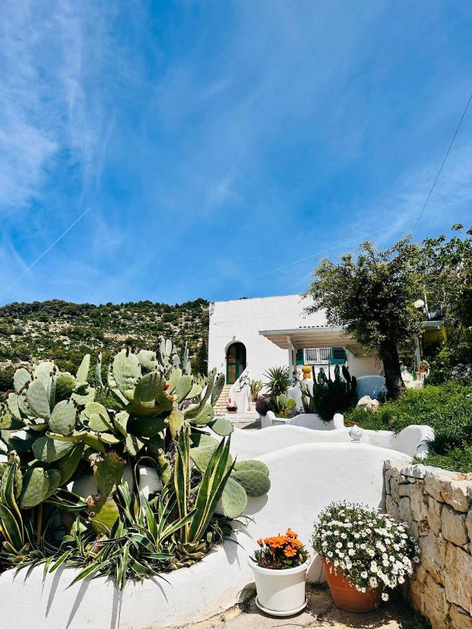 マッティナータ Casa Molo 13ヴィラ エクステリア 写真